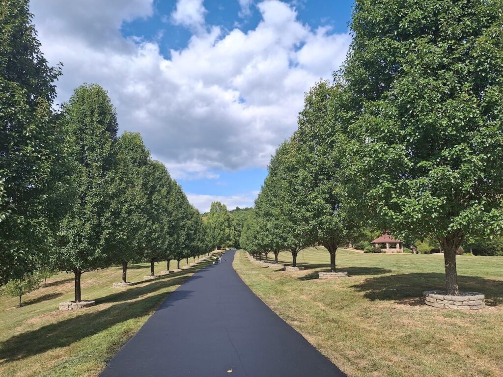 5 Reasons Why You Need A Professional Morgantown Asphalt Sealcoating Contractor