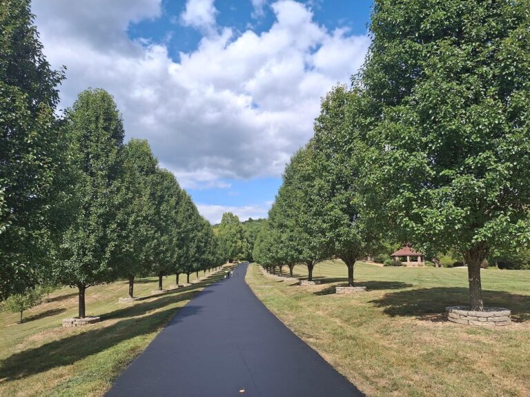 5 Reasons Why You Need A Professional Morgantown Asphalt Sealcoating Contractor