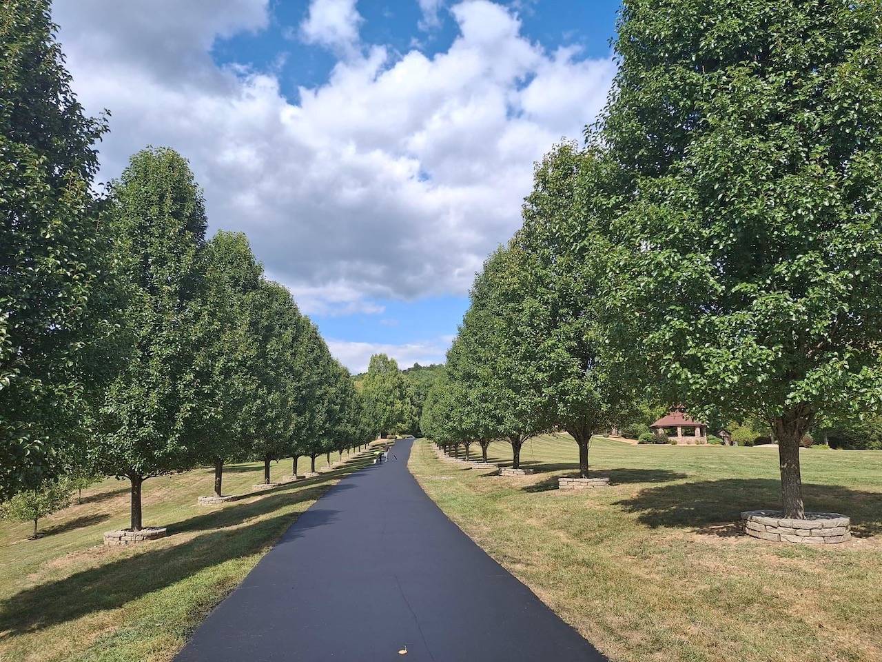 5 Reasons Why You Need A Professional Morgantown Asphalt Sealcoating Contractor